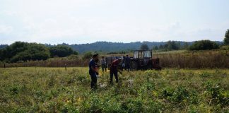 Poziv glinskim poljoprivrednicima na predavanje “Kako do sredstava iz Programa ruralnog razvoja?”