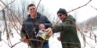 Vinogradari i vinari s Banovine obilježili blagdan svog zaštitinika sv. Vinka