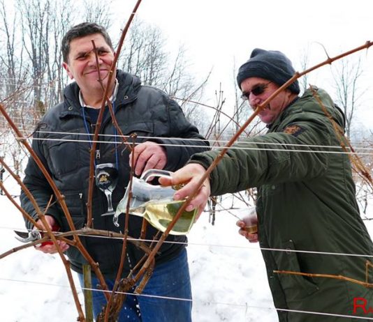 Vinogradari i vinari s Banovine obilježili blagdan svog zaštitinika sv. Vinka