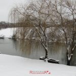 28162255_171120773516265_4358987289708907543_o