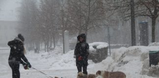 Novi snijeg i minusi prijete Glini