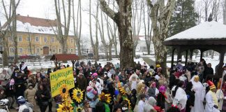 VIDEO – Šareno fašničko prijepodne u Glini