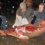 29342536_177907722837570_5626115477940994048_o