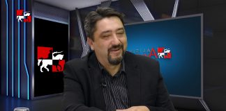 Aktualno: Alberta Cestarić