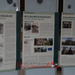 51416342_319226315372376_809988389158780928_n