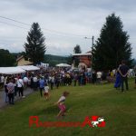 mladifest