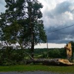 66386451_1049137738611597_7712540556601065472_o