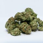 marijuana-2174302_1920