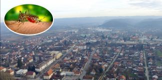 U četvrtak navečer tretiranje komaraca na području Gline