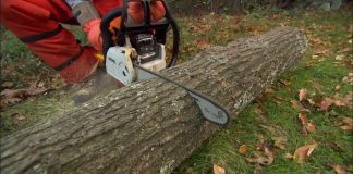 Uhvaćen kradljivac drva na glinskom području