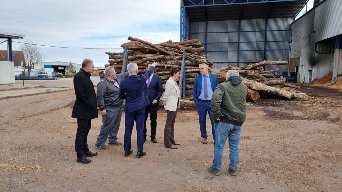 273507900_966059184022416_7574493898921407567_n (1)