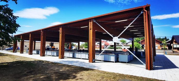 297328206_424206756414738_7239609132330381412_n