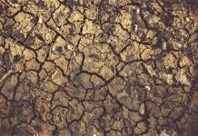 Proglašena prirodna nepogoda – suša na području Gline