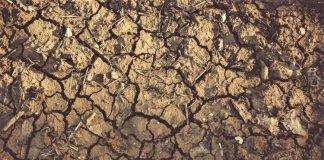 Proglašena prirodna nepogoda – suša na području Gline