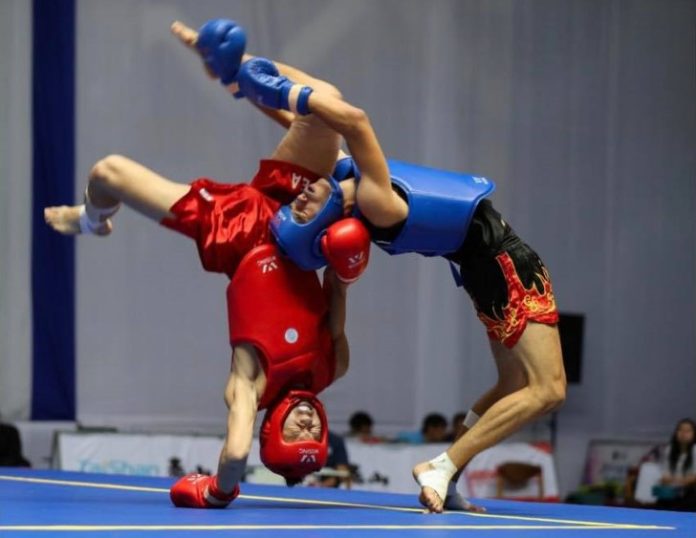 wushu