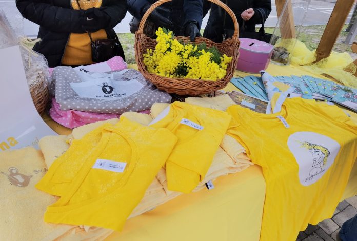 325703548_1556373011532985_246942114907167370_n