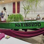 433079664_741103858128716_8563562412781211273_n