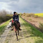 438060436_798475165536052_1758647439839342199_n