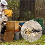 104254080_809927802747169_5619729399667787636_n-300×225