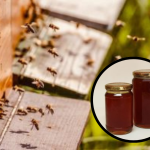 Dizajn bez naslova (30)