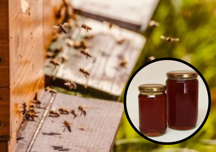 Dizajn bez naslova (30)