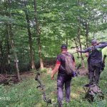 040331ed-352e-42db-bf39-91544849997f