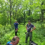 5218d13e-5c83-463e-9873-78384ff6a51b