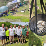 Dizajn bez naslova – 2024-06-22T193310.523