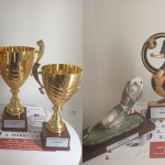 Dizajn bez naslova (46)