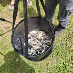 WhatsApp Image 2024-06-22 at 18.24.20 (2)