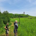 e8509386-eaad-4ed6-b869-5849846a3743