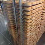 450908239_904266324838924_554022132607610425_n