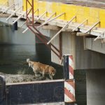 WhatsApp Image 2024-09-26 at 11.46.07