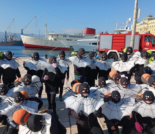FOTO Mali pauci iz Gline zablistali na Riječkom karnevalu