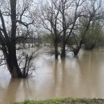 1b7865c1-1ad8-44a2-96fb-108ac3489a4e