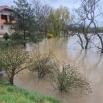 46bff41b-5b55-4660-868e-5b00cbff958e