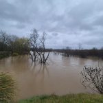 84f112da-d238-4eb2-bb50-4807e4f9003c