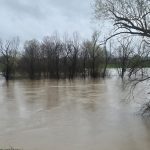 a6d408bb-261b-4a85-b24e-46c3b3dff70a