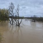 bc46ff62-0d7a-41b1-b808-15a4143919e1