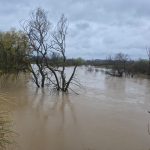 d9ea4746-2381-4905-8053-82d864aece7e