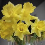 da4340a9-18bf-40fb-9ef9-55dd1e57e68e (1)