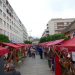 492005157_1254441776689490_560412118185048364_n