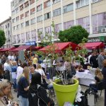 492169770_1254441593356175_6447516280212907150_n