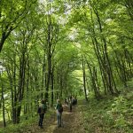 WhatsApp Image 2025-05-12 at 09.37.27