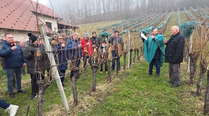 VIDEO – Vinska mušica Glina obilježila 30 godina rada uz tradicionalni obred Vincekova