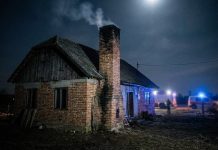 Ilustracija generirana umjetnom inteligencijom.