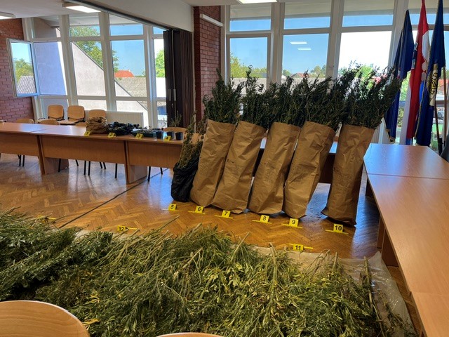 Velika zapljena u Gvozdu: Otkrivena plantaža s 229 stabljika marihuane, uhićen 34-godišnjak 1 Velika zapljena u Gvozdu: Otkrivena plantaža s 229 stabljika marihuane, uhićen 34-godišnjak 1