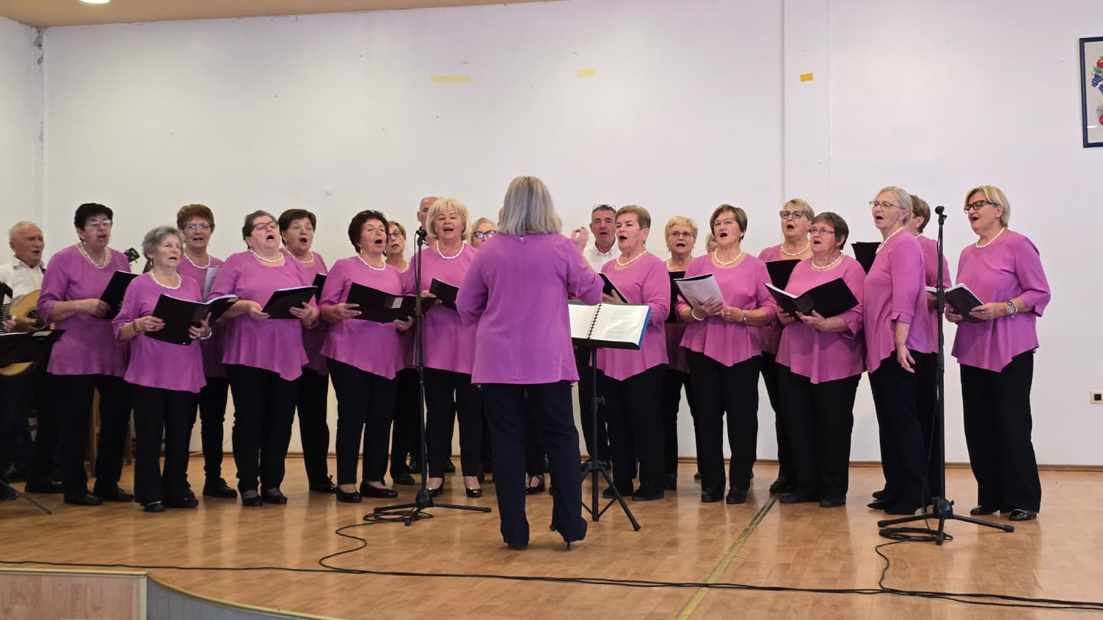 U Marin Brodu održana Smotra kulturno-umjetničkog stvaralaštva umirovljenika Sisačko-moslavačke županije 2
